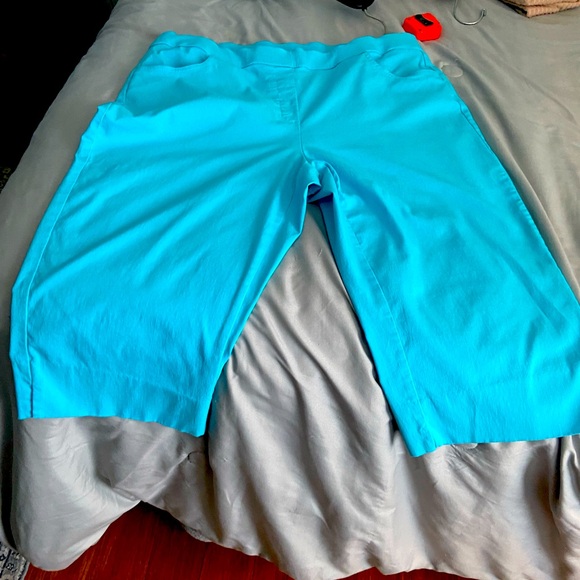 Alfred Dunner Turquoise Capri Pants - Picture 1 of 9